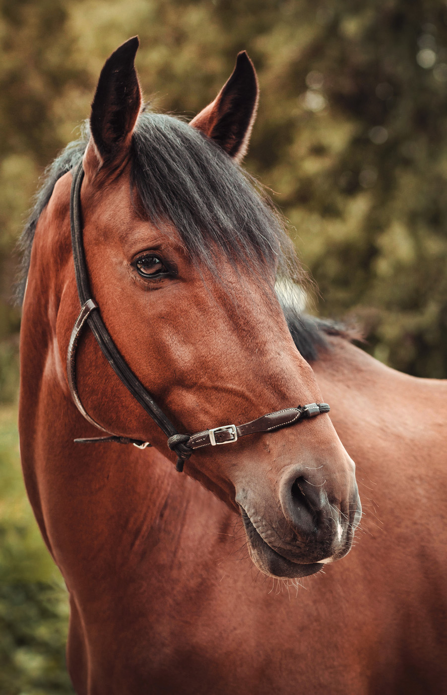 Manon Knasko Photographies